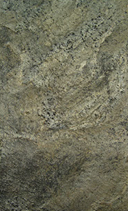 MTS Ocean var.4