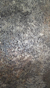 MTS Silvershine var.2
