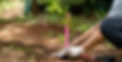 Planting a Tree_edited.jpg