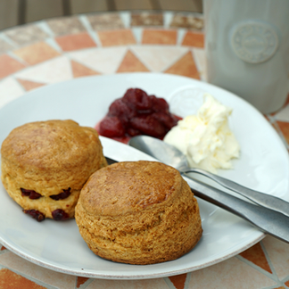 Baked up kyoko｜武蔵境