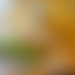 CICOUTE BAKERY｜南大沢