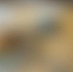 てんこり菓子店｜桜上水