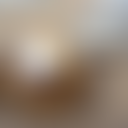 kibi cafe｜吉祥寺【閉店】