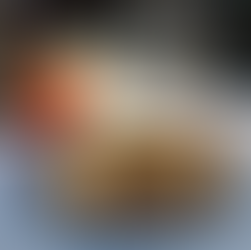 Stellato｜白金台