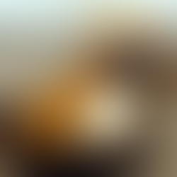 Petika sukemasa coffee｜浅草