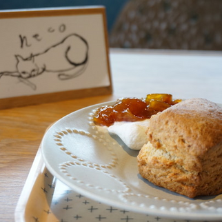 Call 家と庭｜表参道