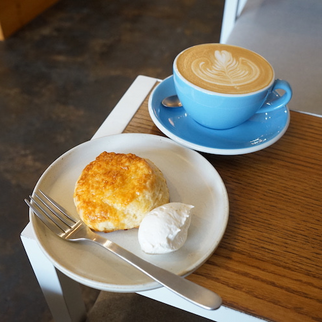 your daily coffee｜上町