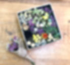 workshopNさま .jpeg