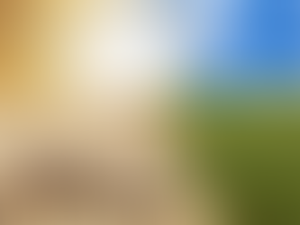 Individual Decisions and Carbon Footprint: How to Reduce Your Impact