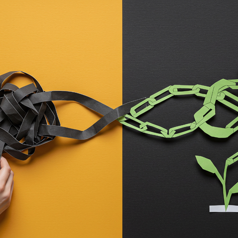 Estrategias para una cadena sostenible