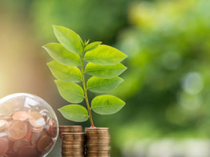 Apply for MITECO CAEs Without Errors: A Guide for Efficient Companies