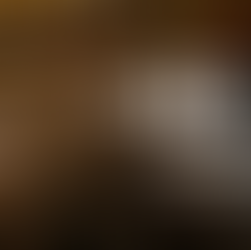 40% of transfer recipients for our performing arts clients are new accounts! Don't let these future patrons slip away.