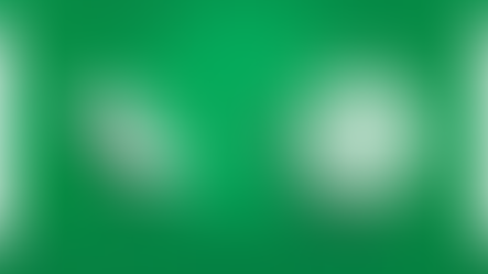 University of North Texas: Fundraising Adaptability in a New Era of College Sports