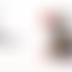 Introducing: PAC io Fundraising