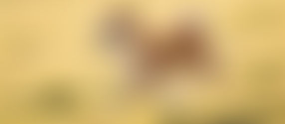 It Left, But It's Still by My Side 🐾💎