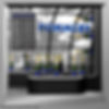 window11