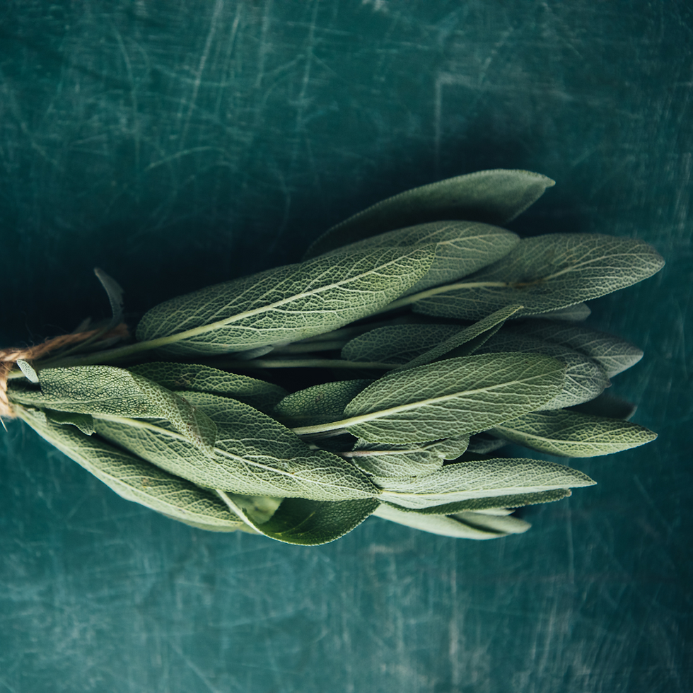 Sea Sage & Sea Salt Soy Wax Candle, NW3 2BE