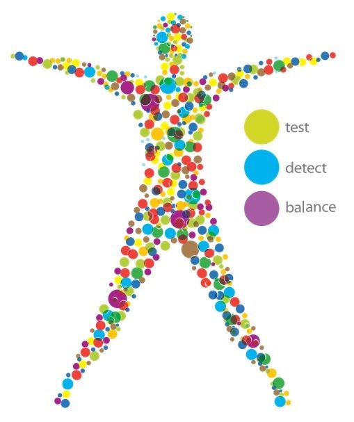 Systematic Kinesiology, NW3 2BE