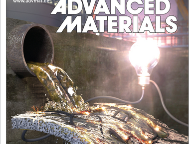 Dr. Ji-Soo Jang's paper was published in Advanced Materials as a Front-cover(Feb. Issue)
