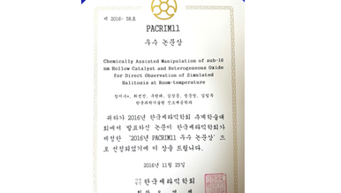 PACRIM 11 Best Paper Award (2016)