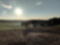 Horses standing under rays of sunshine in a pasture