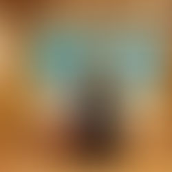 Dan Šácha z YATTA v Japonsku