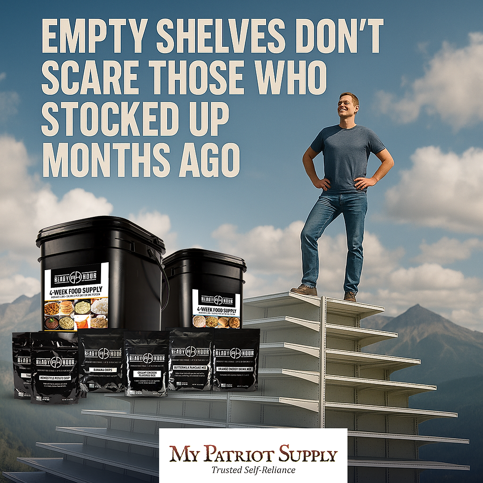 ShelfMountain_v02.png