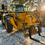 Thumbnail: JCB 540-140 HiViz