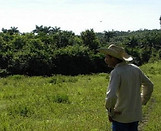 1780087264-ministerio-agricultura-preocupado-directivos-futuro-mientras-presente-cuba-derr