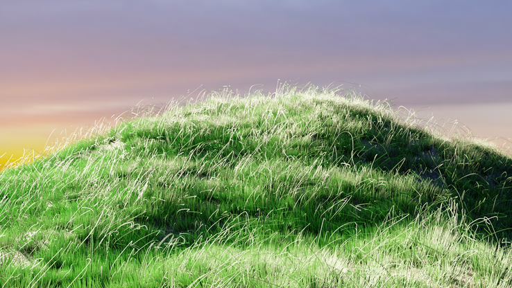 grass 1.png