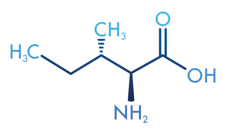 Moleculer-Diagram-1.webp