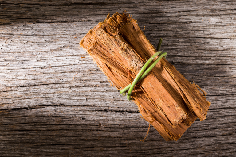 Cats-Claw-Bark.webp