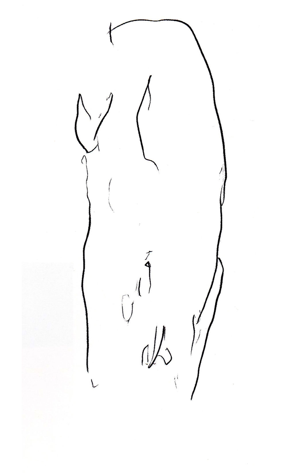 Homme, 1998