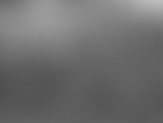 The History of the Taste of Manila