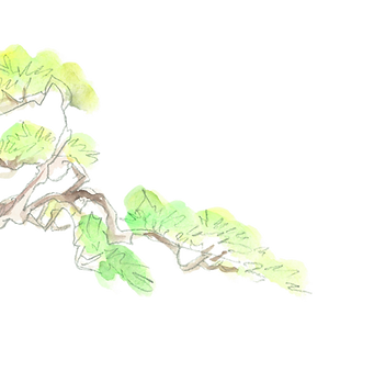TREE.png
