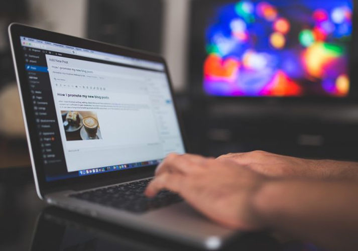 wordpress-923188_960_720-e1546921755691