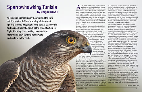 NAFA Journal 2013 Tunisia layout.jpg