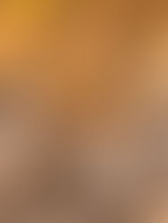 WHY MADIKWE GAME RESERVE IS THE ULTIMATE MALARIA-FREE SAFARI FOR FAMILIES