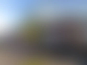 LGBT+ Karşıtı Vaaz Sebebiyle Belçika'da Bir Camiye Kapanma İstemi