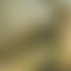 Ali Kasapoğlu | Fantastik İllustrator