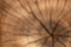 lumber-g390f1e9bf_1920.jpg