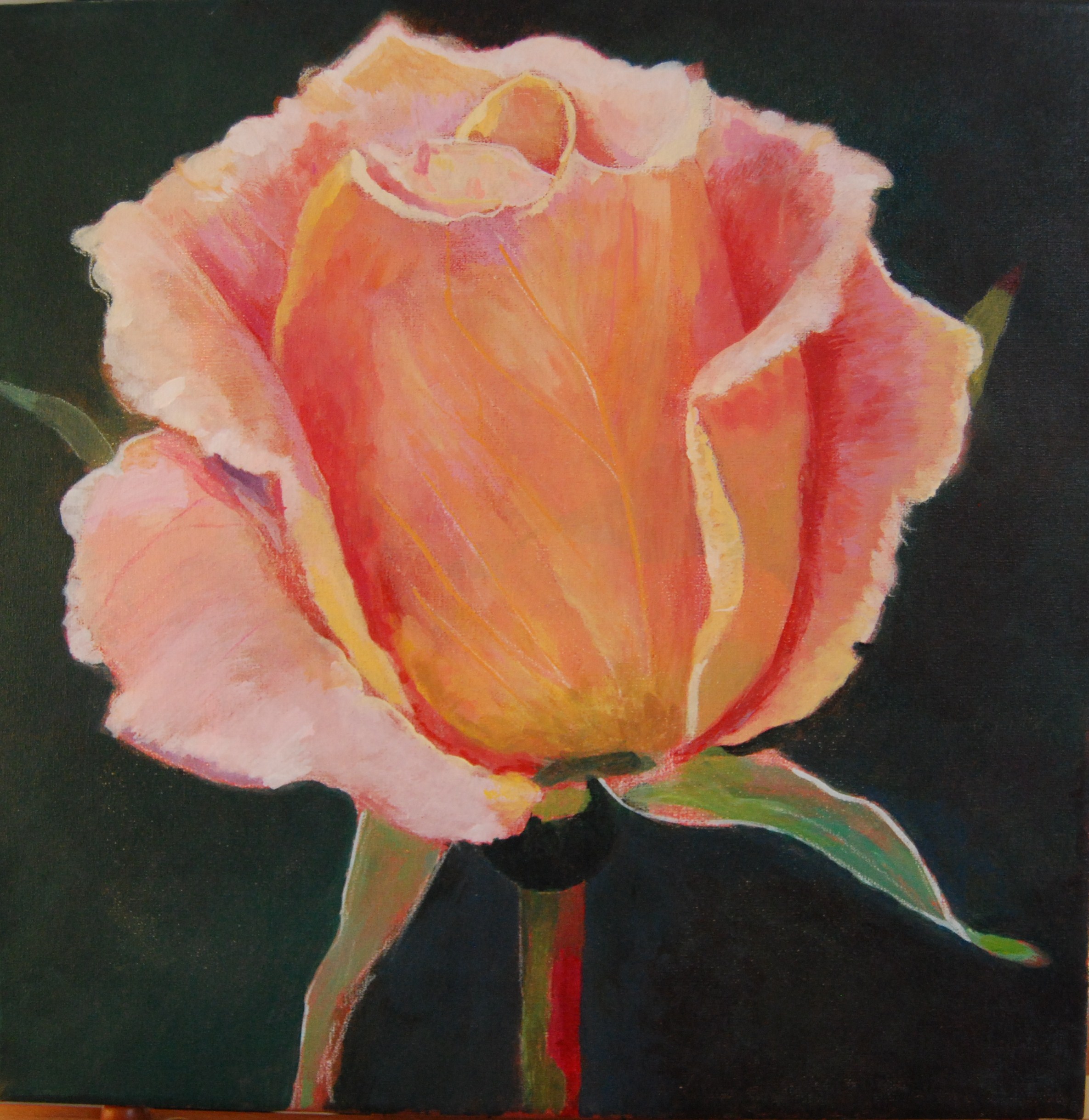 The Rose