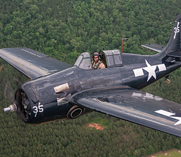 Thom Richard FM-2 Wildcat