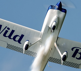 Wild Blue RV-8A