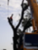 Worker in tree