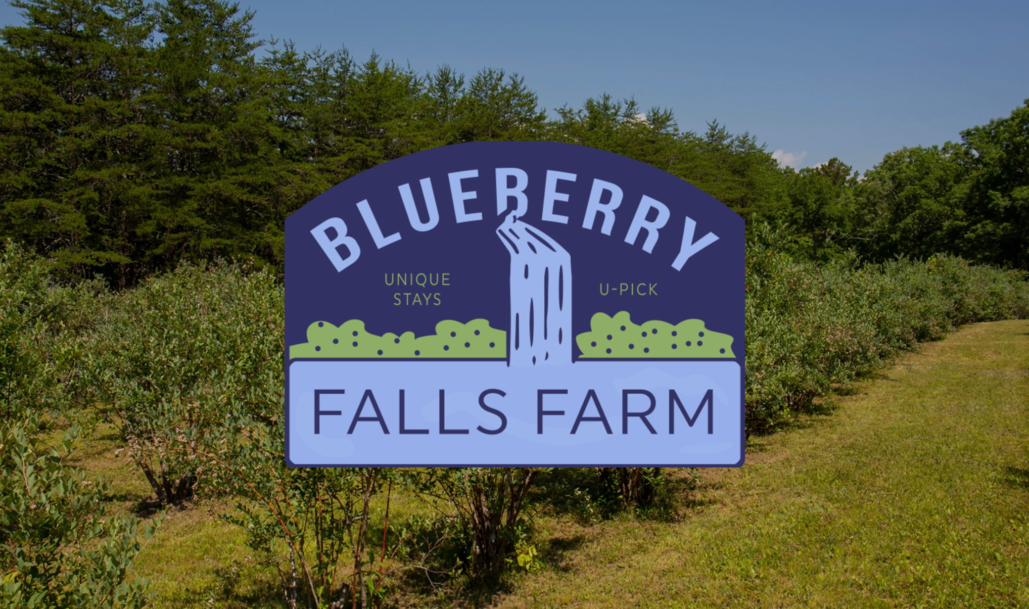 Blueberry Falls Farm photo