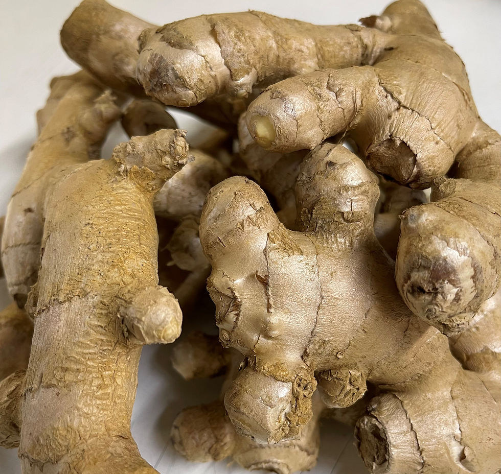 Ginger Roots