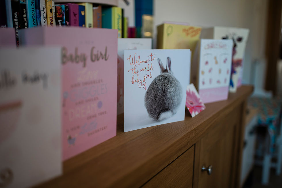Greeting cards on a wooden surface, featuring a gray bunny and text. Baby Photoshoot Durham | Angela Fenwick Photography