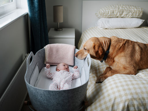 Newborn photos Newcastle | A sunny newborn shoot at home