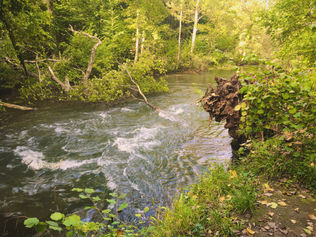 image00008.jpeg